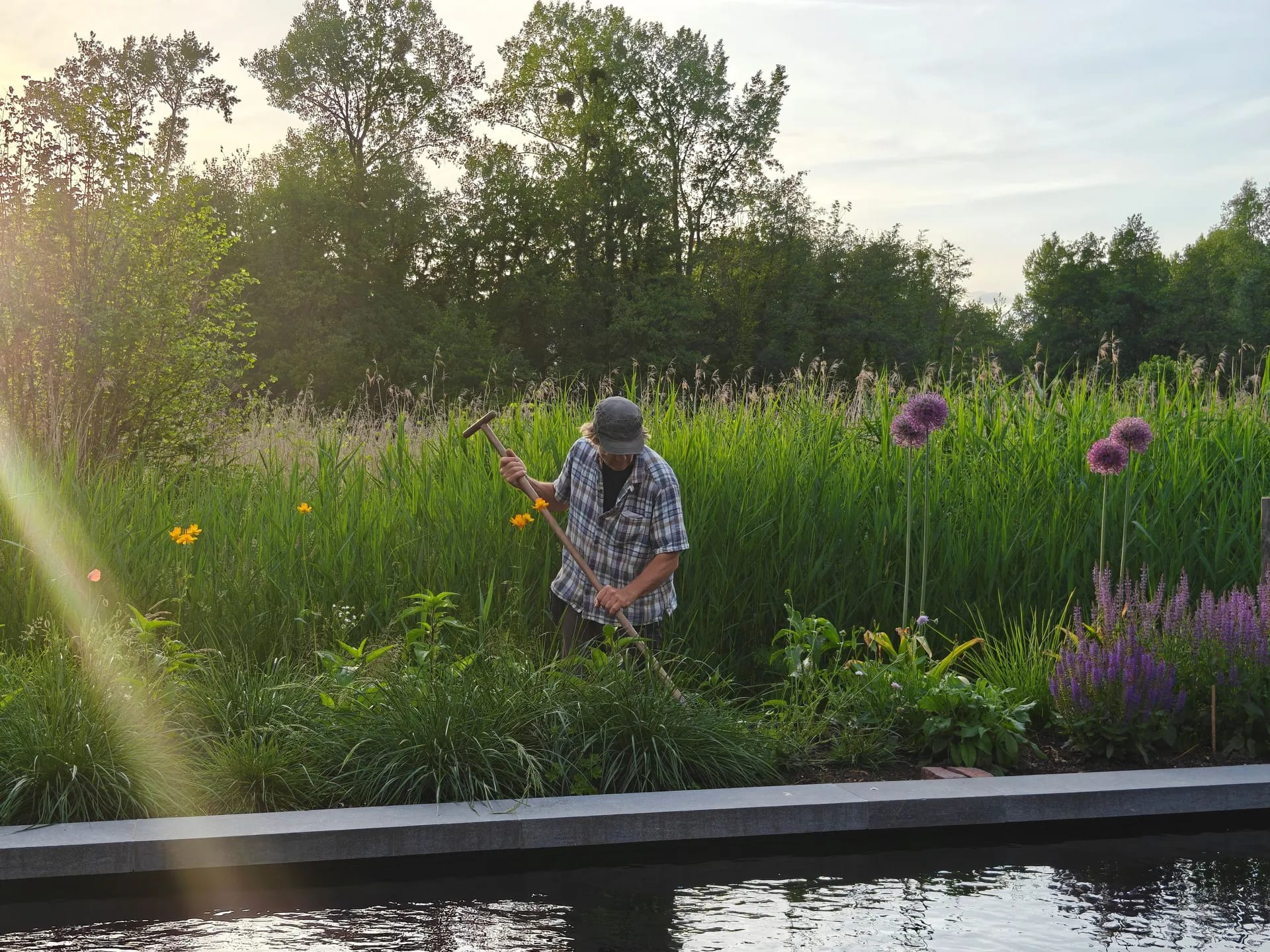 Natuurlijke tuinvijver in Bierbeek, aangelegd door hoveniersbedrijf De Buitenplaats.