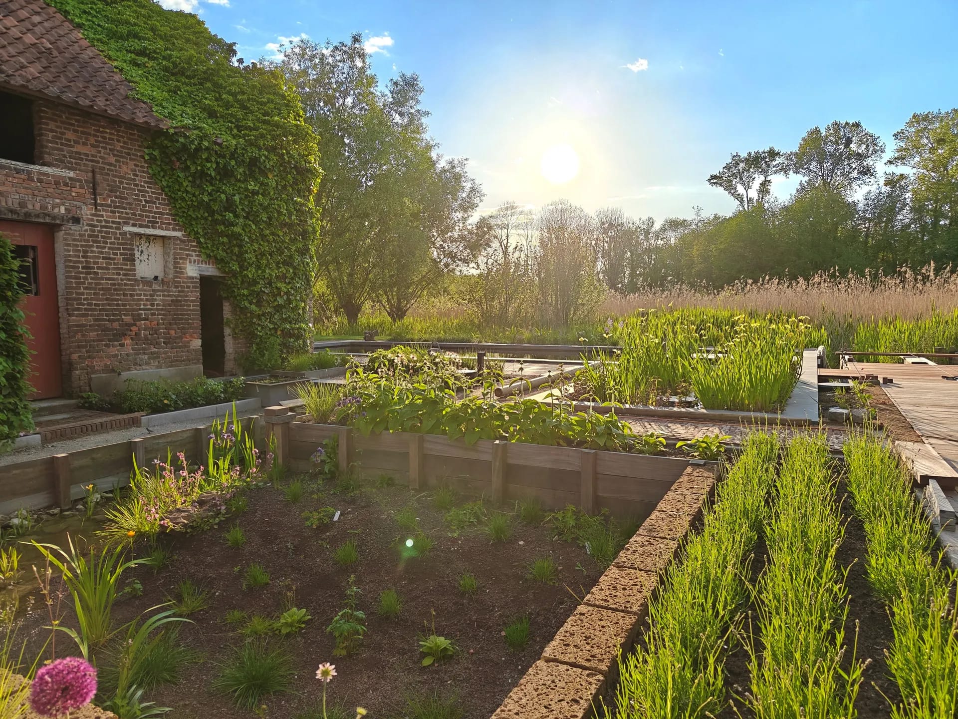 Wadi met natuurlijke beplanting, aangelegd door De Buitenplaats.