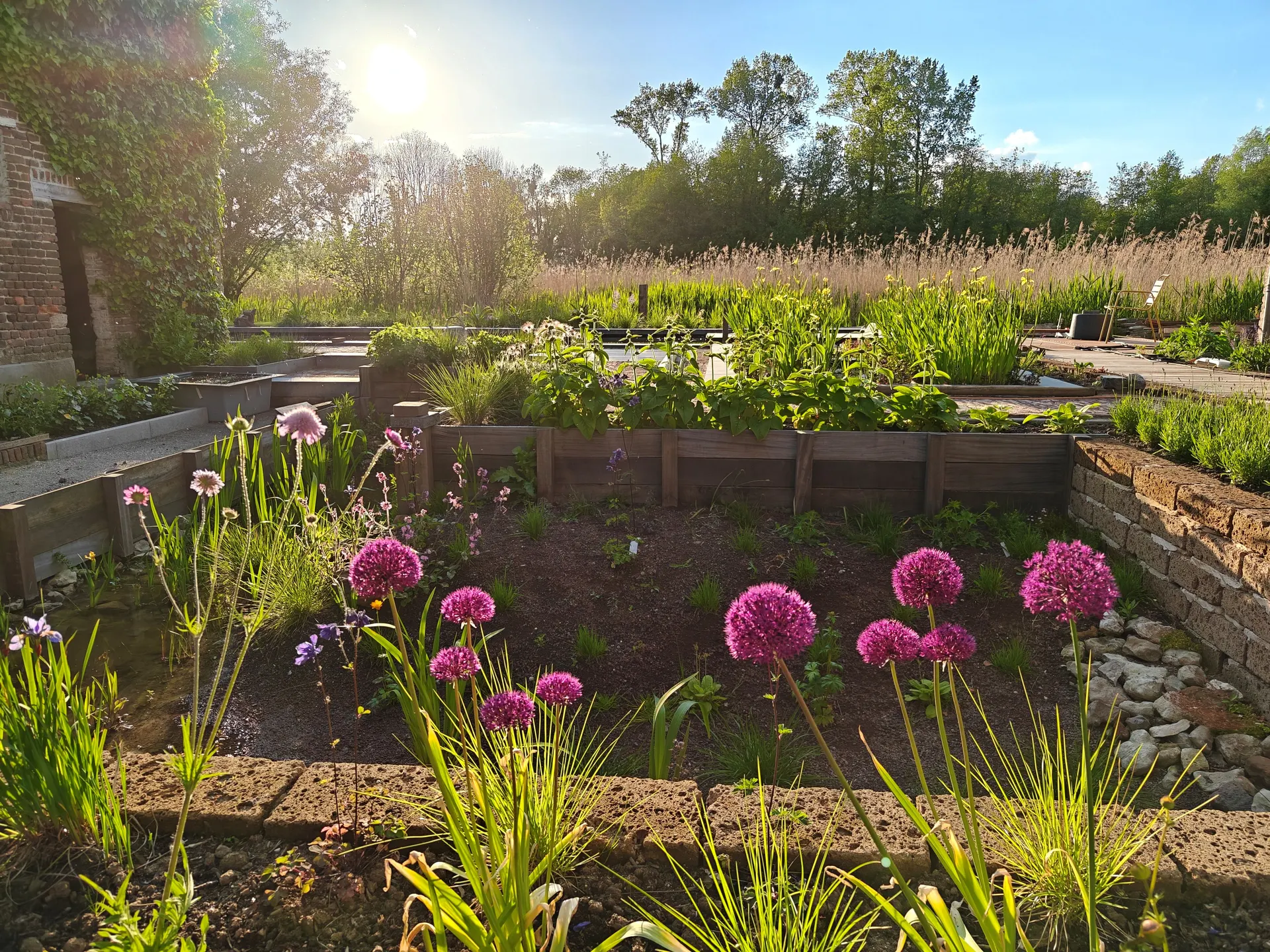 Wadi met natuurlijke beplanting, aangelegd door De Buitenplaats.