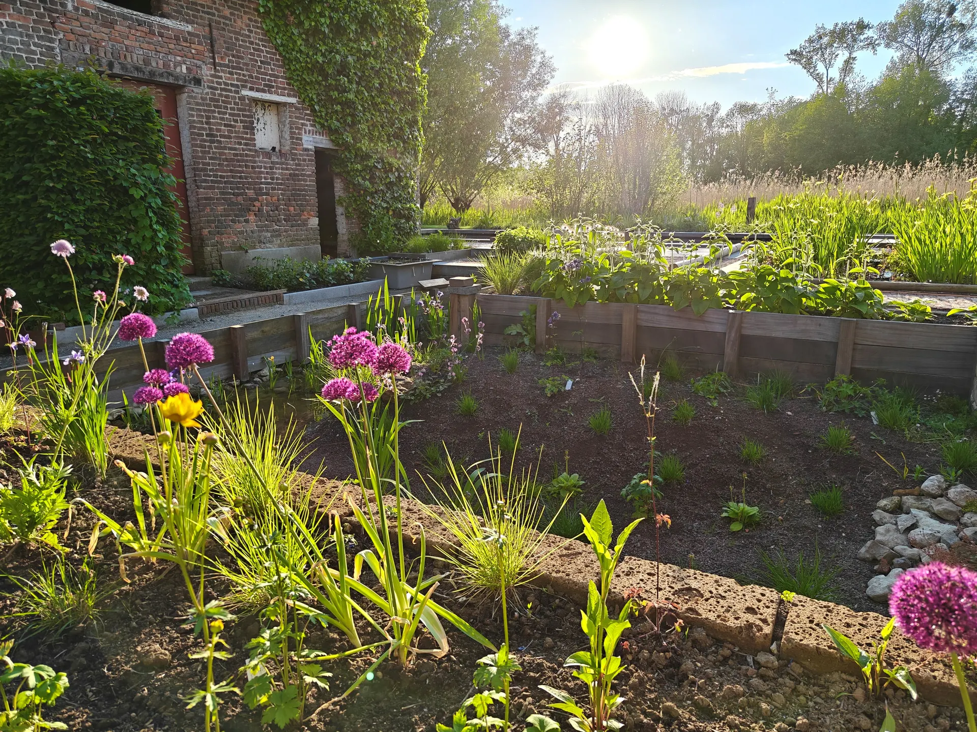 Wadi met natuurlijke beplanting, aangelegd door De Buitenplaats.