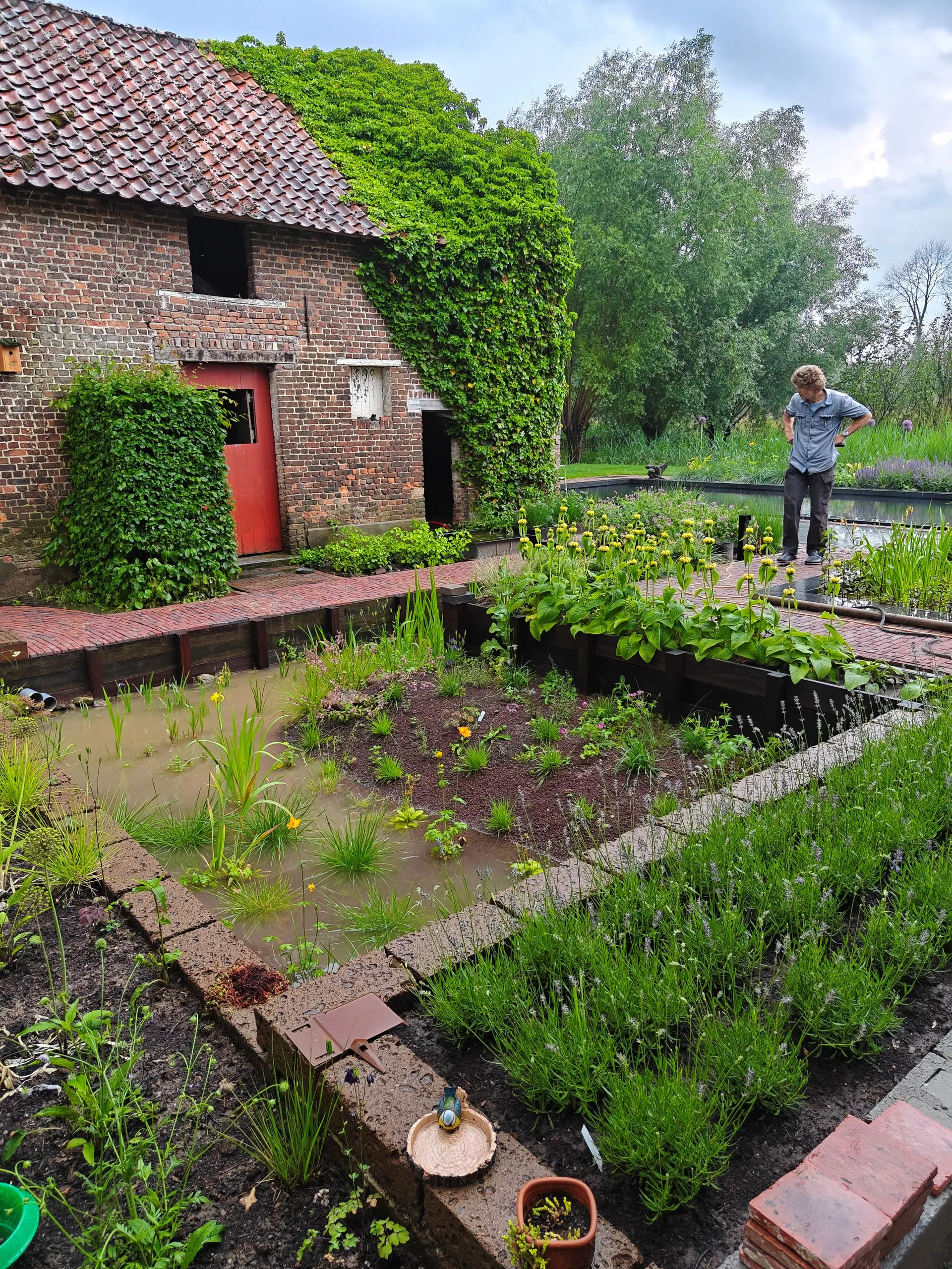 Wadi met natuurlijke beplanting, aangelegd door De Buitenplaats.