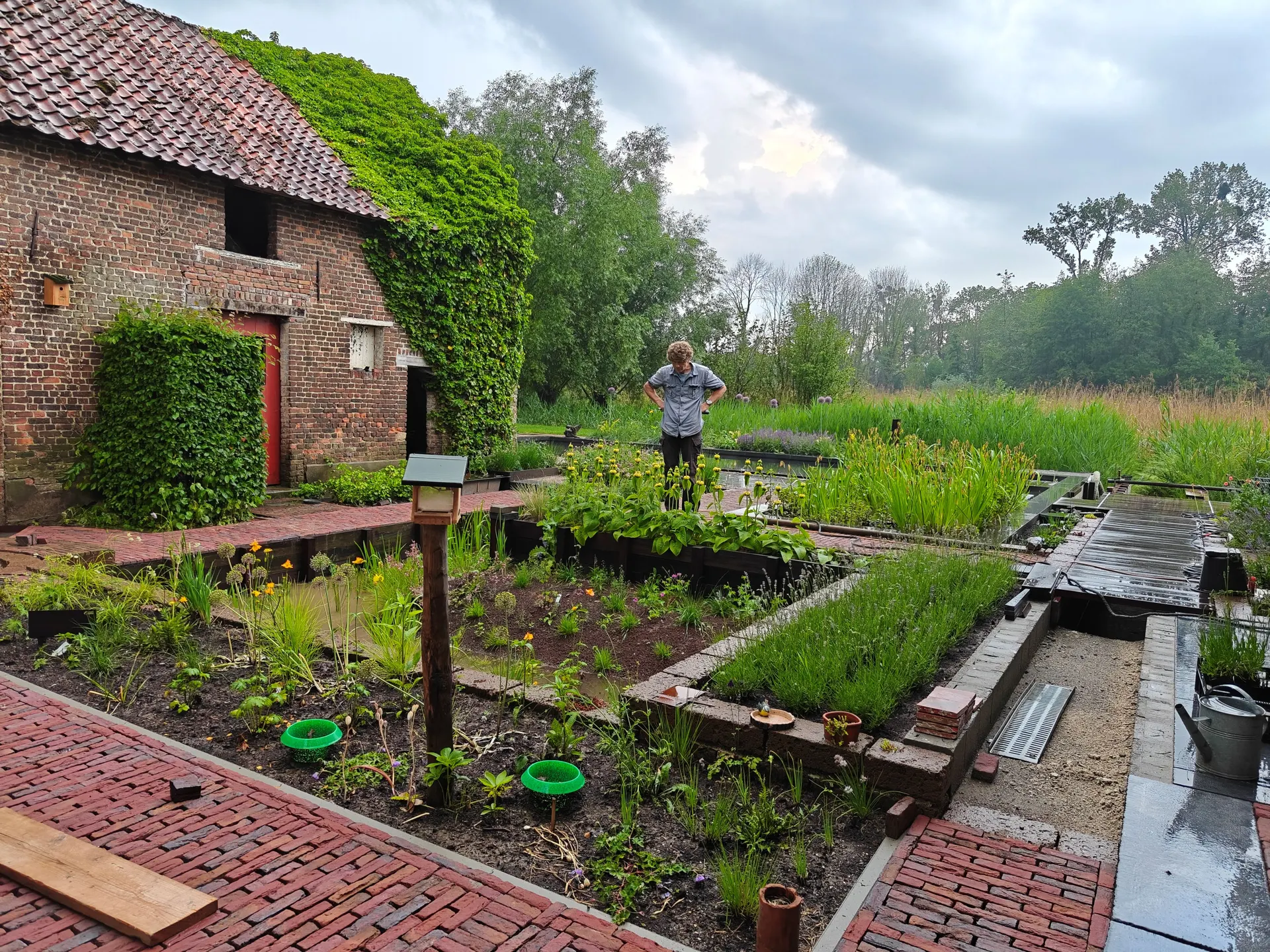 Wadi met natuurlijke beplanting, aangelegd door De Buitenplaats.