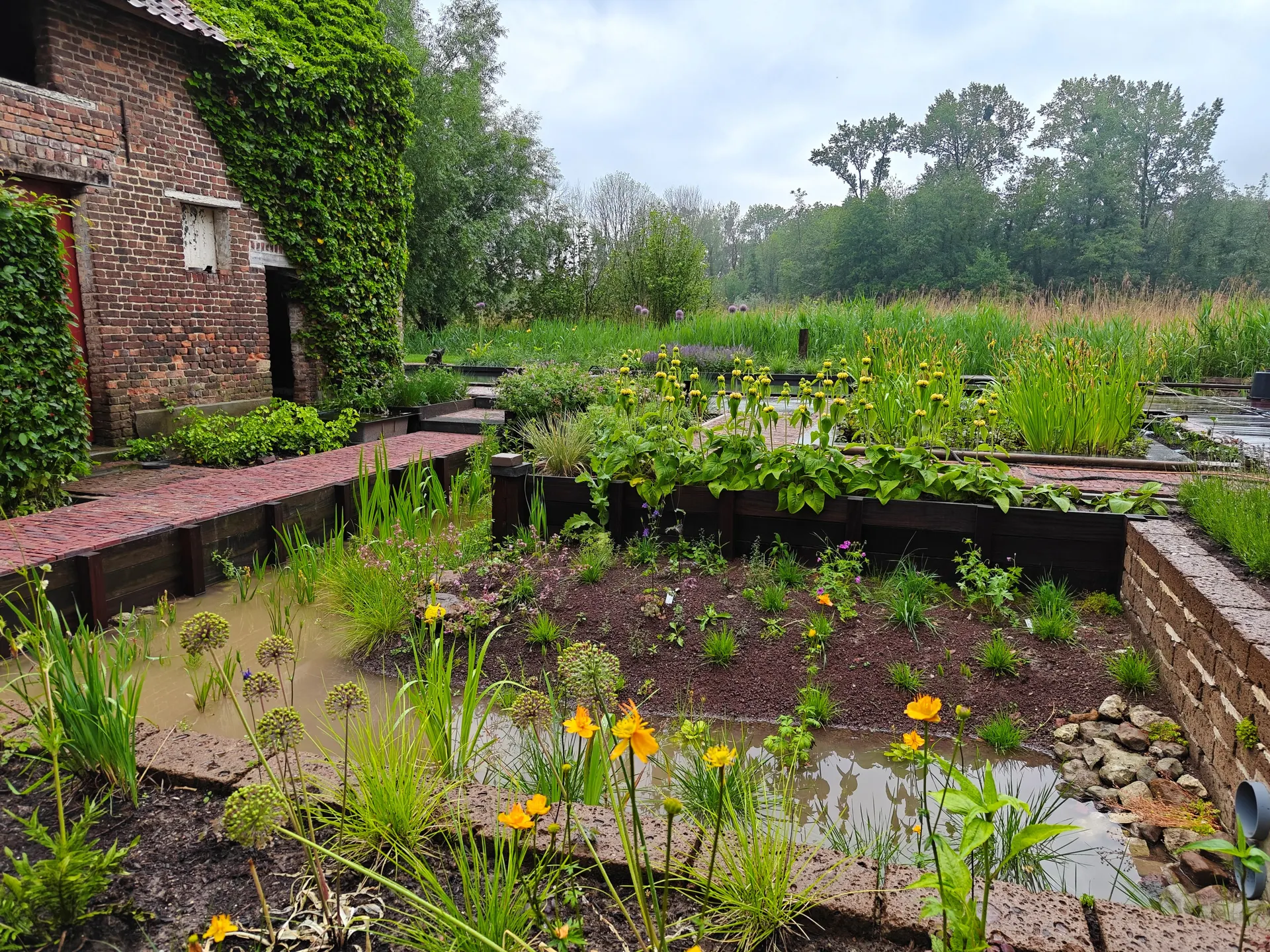 Wadi met natuurlijke beplanting, aangelegd door De Buitenplaats.